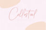 Gallery image item #1