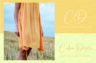 Gallery image item #2