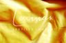 Gallery image item #3
