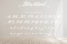 Gallery image item #11