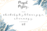 Gallery image item #12