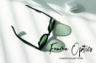 Gallery image item #4