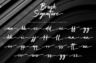 Gallery image item #11