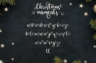 Gallery image item #12