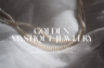 Gallery image item #8