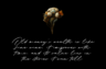 Gallery image item #3