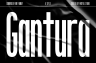 Gallery image item #1