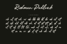 Gallery image item #15